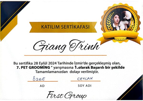 Sertifika 5